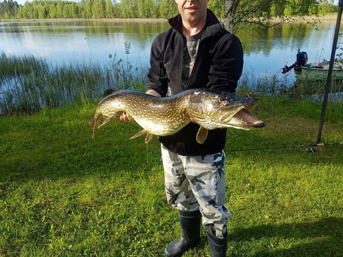 Villa Kaijonselaen Moekit Kaita Kaitainen Esterno foto